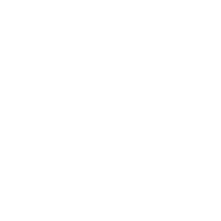 paperwork icon